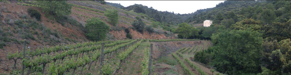 Agustí Torelló Mata