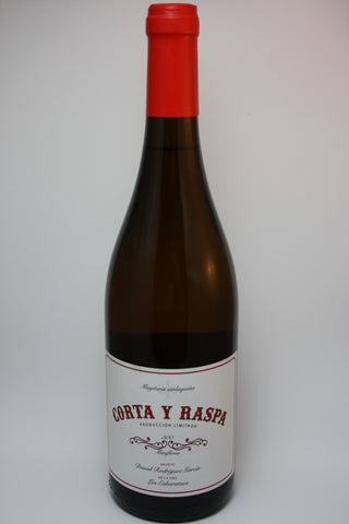 Palomino de Parcela ‘Vi&ntilde;a de Los Esbarataos’, Pago Miraflores Baja 2021