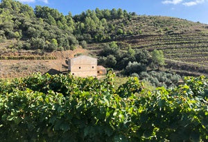 Blai Ferr&eacute; i Just