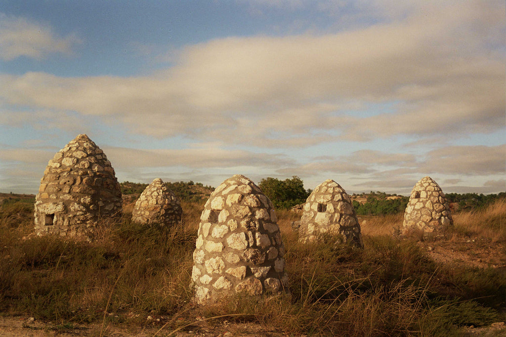 Cillar de Silos