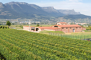 Artoma&ntilde;a Txakolina