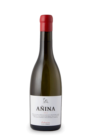 'A&ntilde;ina el Caribe' 2016