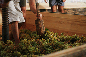 Bodegas Luis P&eacute;rez