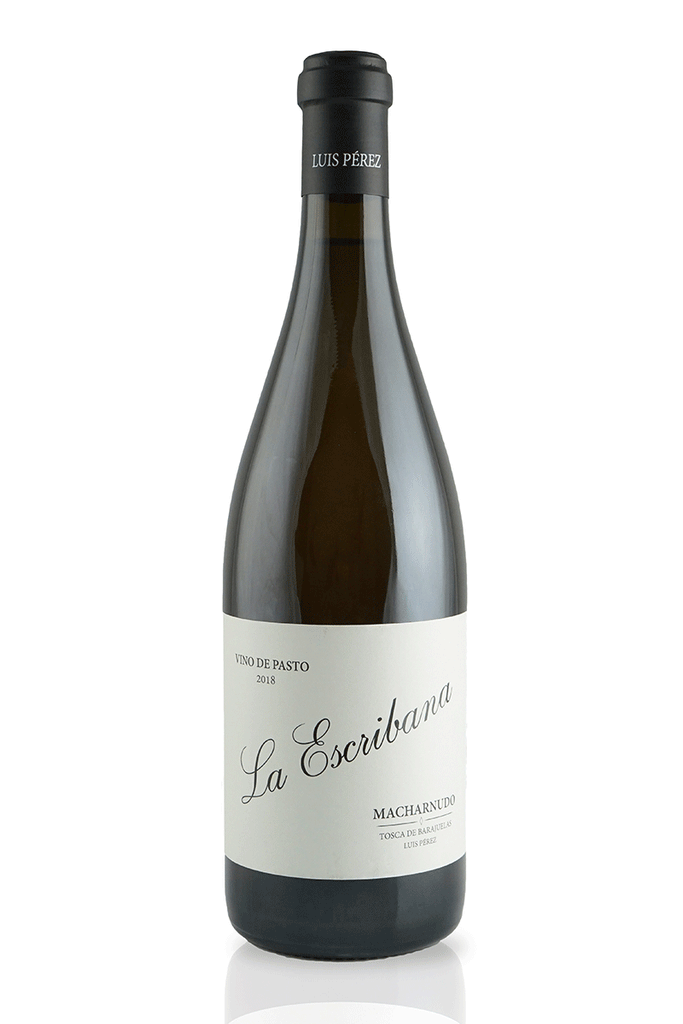 'La Escribana' Palomino de Pasto 2022