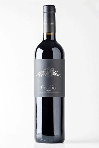 'Negre' Garnatxa 2021