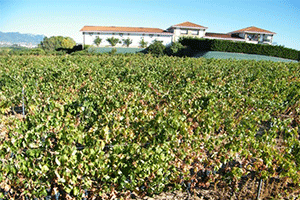 Vi&ntilde;a Olabarri