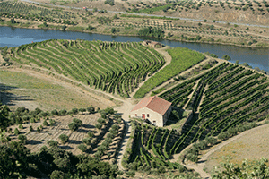 Quinta Do Vale Me&atilde;o