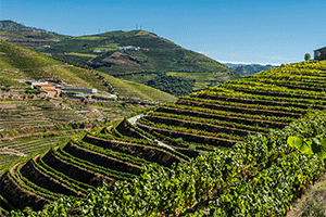Quinta do Vallado